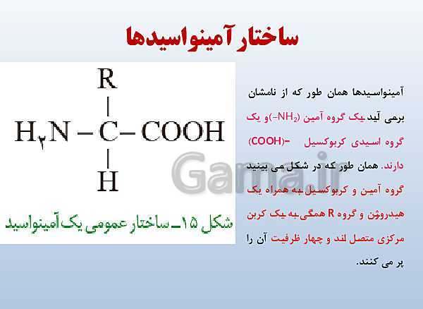 پاورپوینت زیست شناسی دوازدهم تجربی | فصل 1: مولکول‌های اطلاعاتی- پیش نمایش