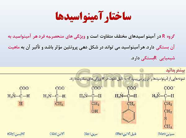 پاورپوینت زیست شناسی دوازدهم تجربی | فصل 1: مولکول‌های اطلاعاتی- پیش نمایش