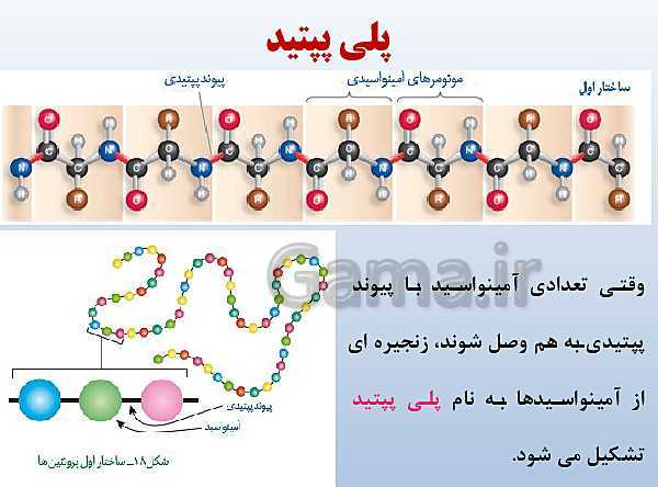 پاورپوینت زیست شناسی دوازدهم تجربی | فصل 1: مولکول‌های اطلاعاتی- پیش نمایش