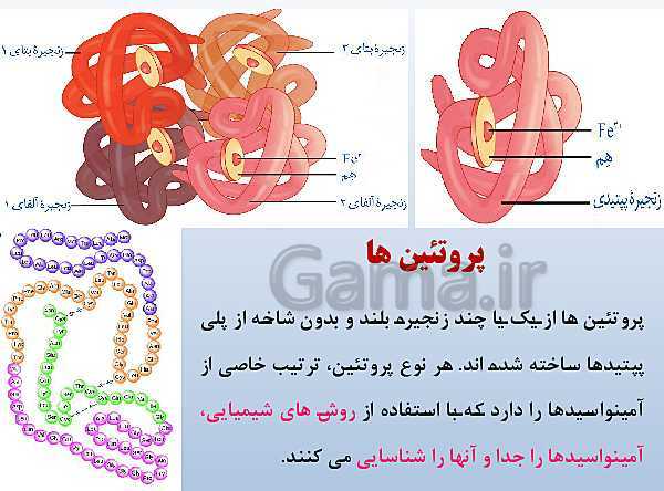 پاورپوینت زیست شناسی دوازدهم تجربی | فصل 1: مولکول‌های اطلاعاتی- پیش نمایش