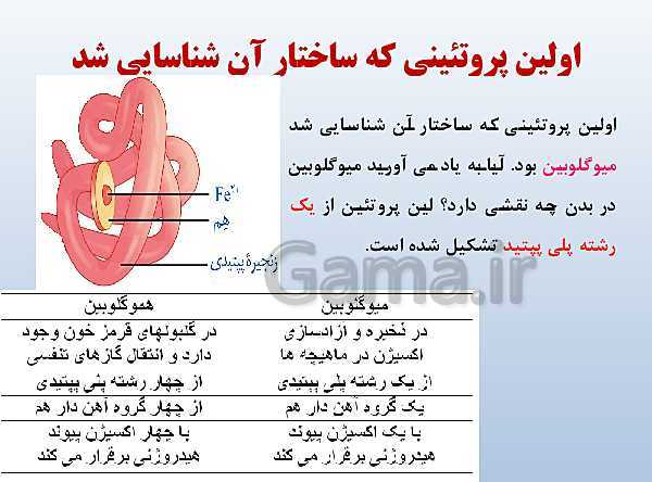 پاورپوینت زیست شناسی دوازدهم تجربی | فصل 1: مولکول‌های اطلاعاتی- پیش نمایش