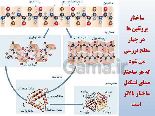 پاورپوینت زیست شناسی دوازدهم تجربی | فصل 1: مولکول‌های اطلاعاتی- پیش نمایش