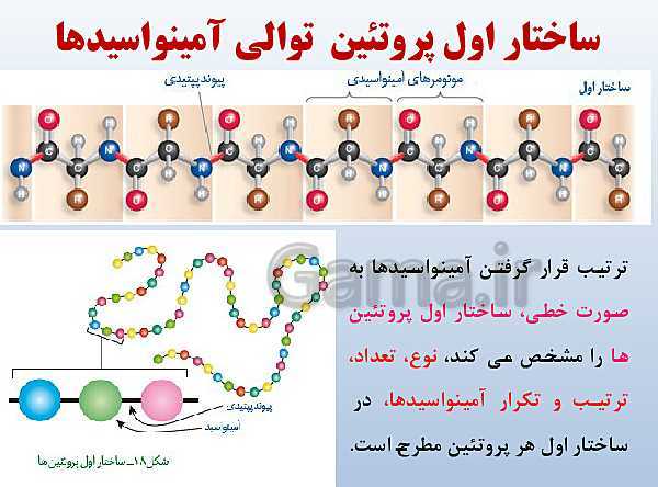 پاورپوینت زیست شناسی دوازدهم تجربی | فصل 1: مولکول‌های اطلاعاتی- پیش نمایش