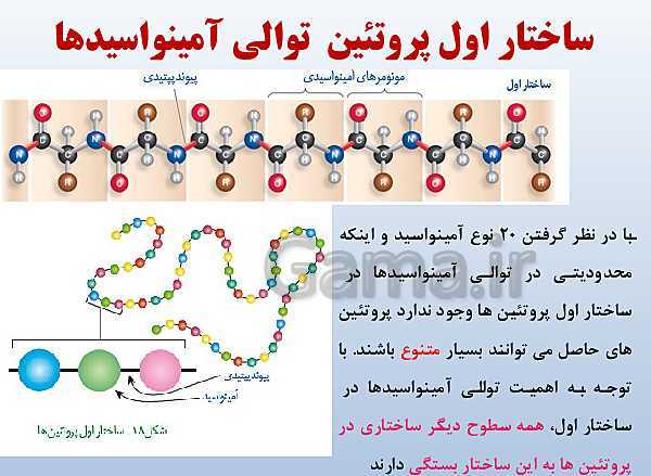 پاورپوینت زیست شناسی دوازدهم تجربی | فصل 1: مولکول‌های اطلاعاتی- پیش نمایش