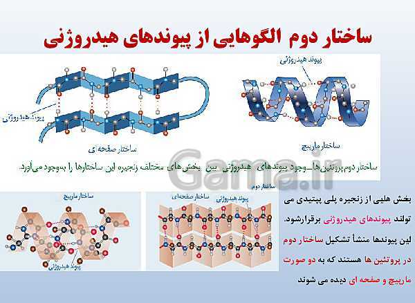 پاورپوینت زیست شناسی دوازدهم تجربی | فصل 1: مولکول‌های اطلاعاتی- پیش نمایش