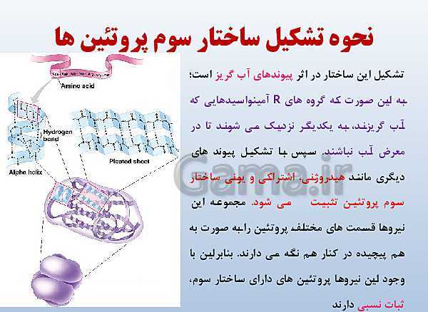 پاورپوینت زیست شناسی دوازدهم تجربی | فصل 1: مولکول‌های اطلاعاتی- پیش نمایش