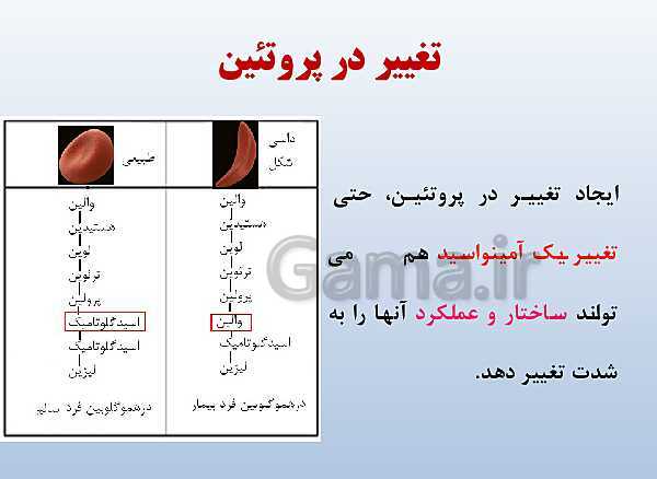 پاورپوینت زیست شناسی دوازدهم تجربی | فصل 1: مولکول‌های اطلاعاتی- پیش نمایش