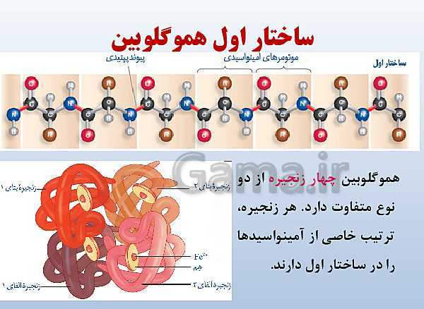 پاورپوینت زیست شناسی دوازدهم تجربی | فصل 1: مولکول‌های اطلاعاتی- پیش نمایش