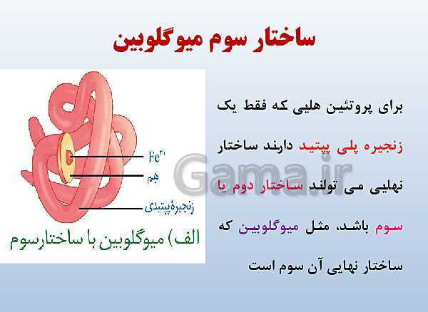 پاورپوینت زیست شناسی دوازدهم تجربی | فصل 1: مولکول‌های اطلاعاتی- پیش نمایش