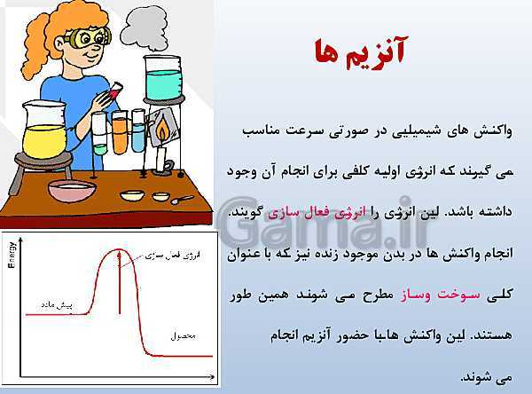 پاورپوینت زیست شناسی دوازدهم تجربی | فصل 1: مولکول‌های اطلاعاتی- پیش نمایش