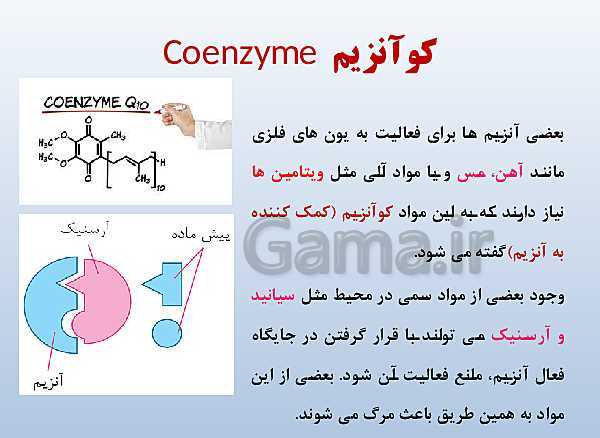 پاورپوینت زیست شناسی دوازدهم تجربی | فصل 1: مولکول‌های اطلاعاتی- پیش نمایش