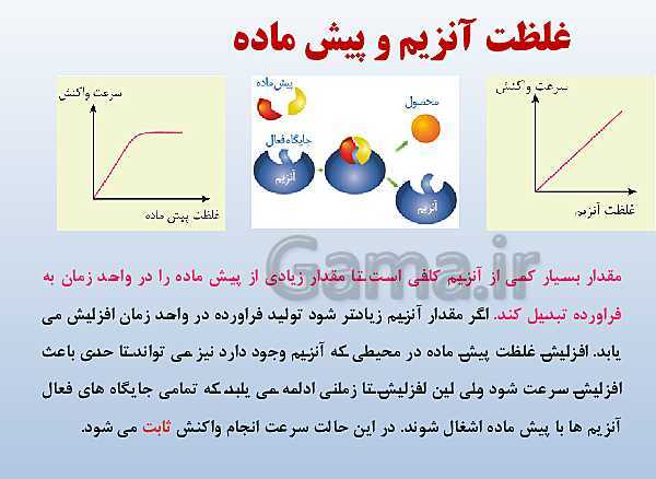 پاورپوینت زیست شناسی دوازدهم تجربی | فصل 1: مولکول‌های اطلاعاتی- پیش نمایش