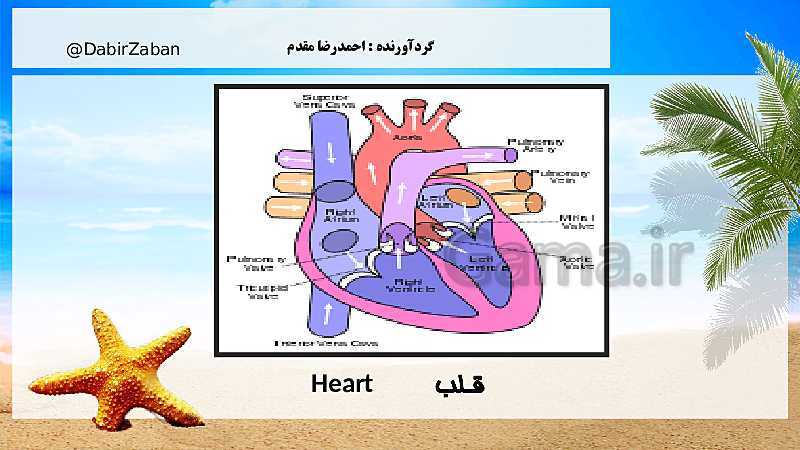 پاورپوینت زبان انگلیسی (1) دهم عمومی کلیه رشته‌ها  |  Lesson2: Wonders of Creation- پیش نمایش