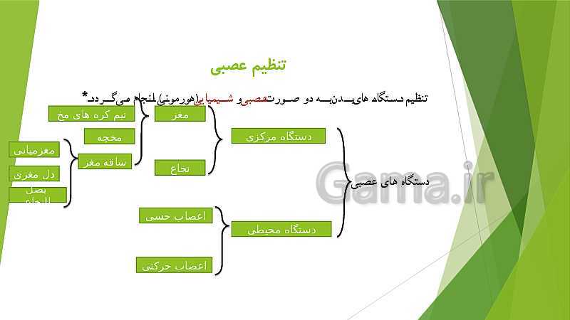 پاورپوینت علوم تجربی کلاس هشتم دوره اول متوسطه | فصل چهارم: تنظيم عصبی- پیش نمایش