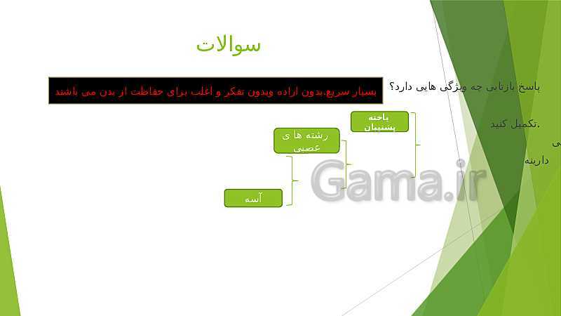 پاورپوینت علوم تجربی کلاس هشتم دوره اول متوسطه | فصل چهارم: تنظيم عصبی- پیش نمایش