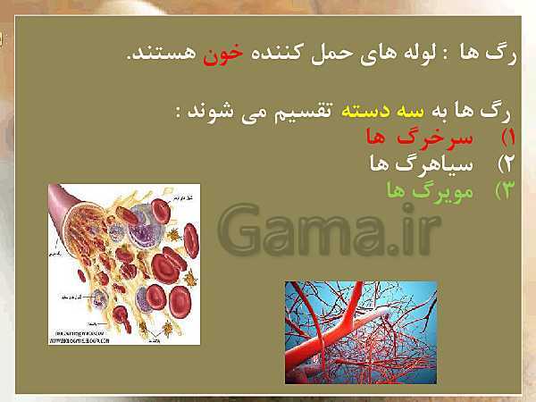 پاورپوینت علوم تجربی چهارم دبستان | دستگاه گردش خون- پیش نمایش