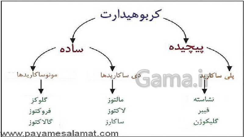 پاورپوینت کنفرانس کربوهیدرات علوم هفتم- پیش نمایش