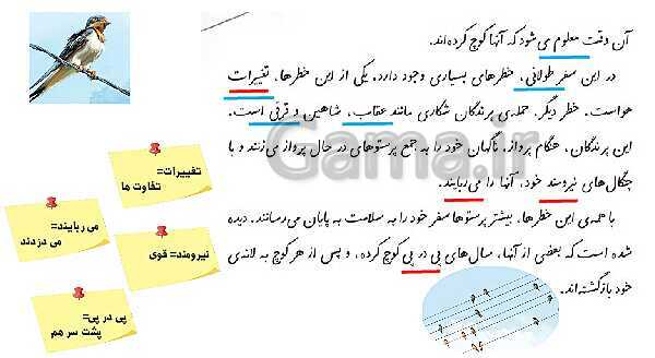 پاورپوینت تدریس آنلاین فارسی چهارم دبستان | درس 2: کوچ پرستوها - پیش نمایش