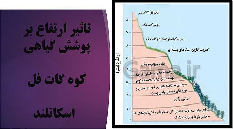 پاورپوینت جغرافیا (2) یازدهم انسانی | درس 5: نواحی زیستی- پیش نمایش