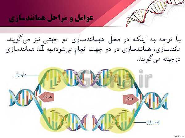 پاورپوینت زیست شناسی دوازدهم | فصل 1 | گفتار 2: همانند سازی DNA- پیش نمایش