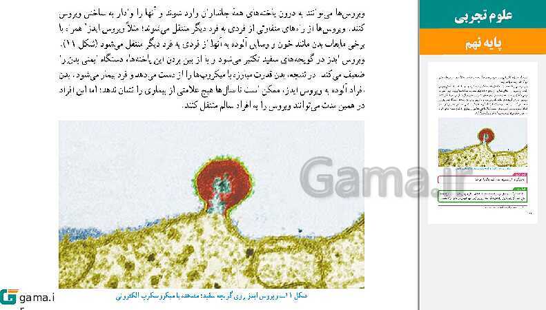  پاورپوینت کتاب محور ویژه تدریس مجازی علوم تجربی نهم | فصل 1 تا 15- پیش نمایش