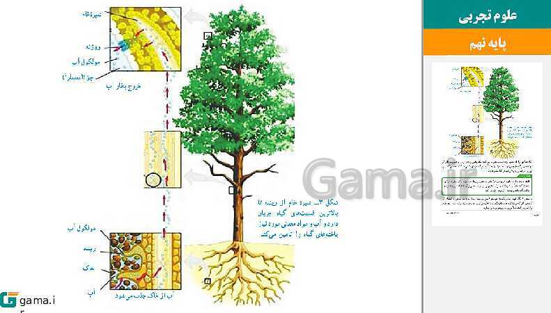  پاورپوینت کتاب محور ویژه تدریس مجازی علوم تجربی نهم | فصل 1 تا 15- پیش نمایش