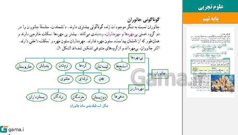  پاورپوینت کتاب محور ویژه تدریس مجازی علوم تجربی نهم | فصل 1 تا 15- پیش نمایش