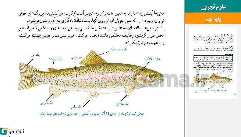  پاورپوینت کتاب محور ویژه تدریس مجازی علوم تجربی نهم | فصل 1 تا 15- پیش نمایش