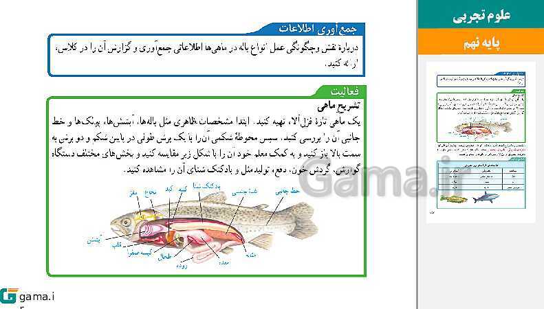  پاورپوینت کتاب محور ویژه تدریس مجازی علوم تجربی نهم | فصل 1 تا 15- پیش نمایش