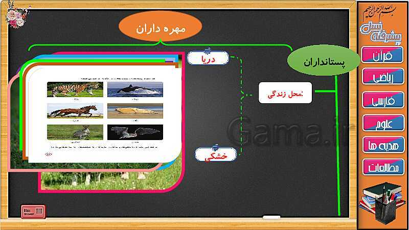 پاورپوینت علوم تجربی سوم دبستان | درس 13: پستاندارن (جلسه دوم)- پیش نمایش