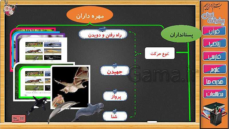 پاورپوینت علوم تجربی سوم دبستان | درس 13: پستاندارن (جلسه دوم)- پیش نمایش