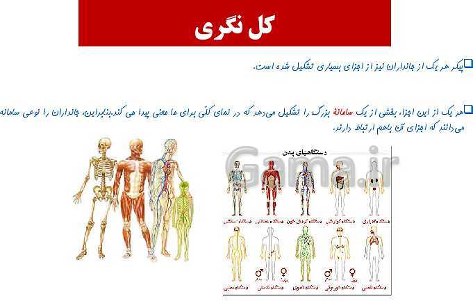 پاورپوینت آموزش مجازی صفحه 1 تا 6 زیست شناسی دهم | فصل 1 | گفتار 1: زیست شناسی چیست؟- پیش نمایش