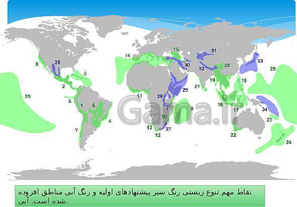 پاورپوینت آموزشی انسان و محیط زیست یازدهم | درس 6: تنوع زیستی، تابلوی زیبای آفرینش- پیش نمایش