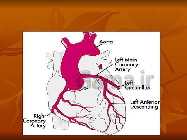 فیزیولوژی قلب- پیش نمایش