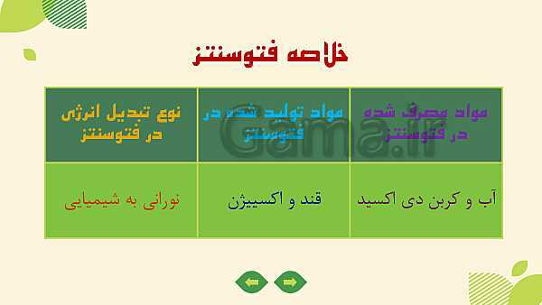 پاورپوینت آموزش علوم کلاس ششم | درس 11: شگفتی‌های برگ- پیش نمایش