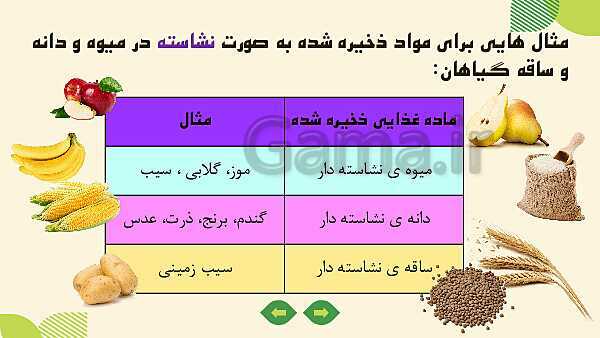 پاورپوینت آموزش علوم کلاس ششم | درس 11: شگفتی‌های برگ- پیش نمایش