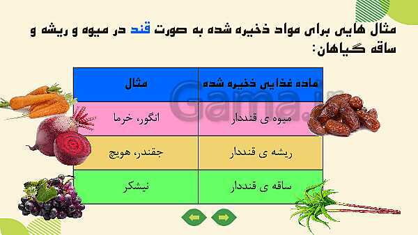 پاورپوینت آموزش علوم کلاس ششم | درس 11: شگفتی‌های برگ- پیش نمایش