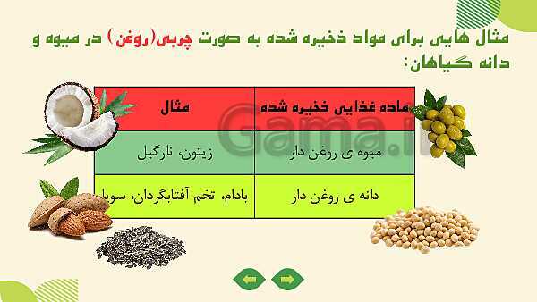 پاورپوینت آموزش علوم کلاس ششم | درس 11: شگفتی‌های برگ- پیش نمایش