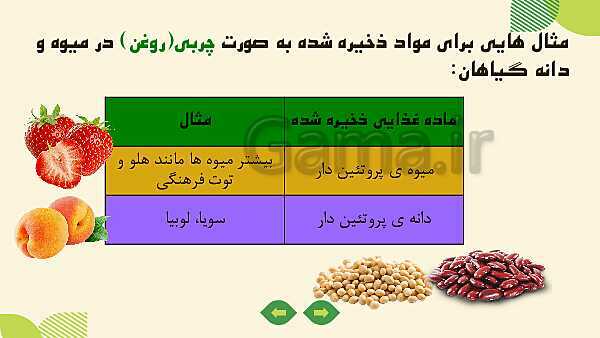 پاورپوینت آموزش علوم کلاس ششم | درس 11: شگفتی‌های برگ- پیش نمایش