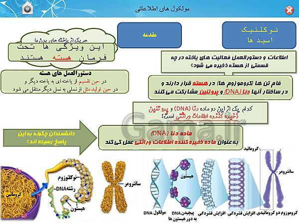 پاورپوینت تدریس زیست شناسی (3) دوازدهم تجربی | فصل 1: مولکول های اطلاعاتی (گفتار 1: نوکلئیک اسیدها)- پیش نمایش