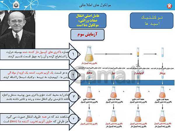 پاورپوینت تدریس زیست شناسی (3) دوازدهم تجربی | فصل 1: مولکول های اطلاعاتی (گفتار 1: نوکلئیک اسیدها)- پیش نمایش