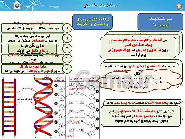 پاورپوینت تدریس زیست شناسی (3) دوازدهم تجربی | فصل 1: مولکول های اطلاعاتی (گفتار 1: نوکلئیک اسیدها)- پیش نمایش