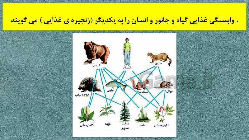 پاورپوینت آموزش علوم کلاس دوم دبستان | درس 10: درون آشیانه‌ها- پیش نمایش