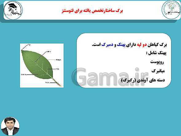 پاورپوینت آموزشی زیست شناسی (3) دوازدهم تجربی | فصل 6: از انرژی به ماده- پیش نمایش