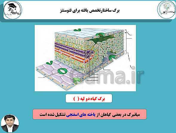 پاورپوینت آموزشی زیست شناسی (3) دوازدهم تجربی | فصل 6: از انرژی به ماده- پیش نمایش