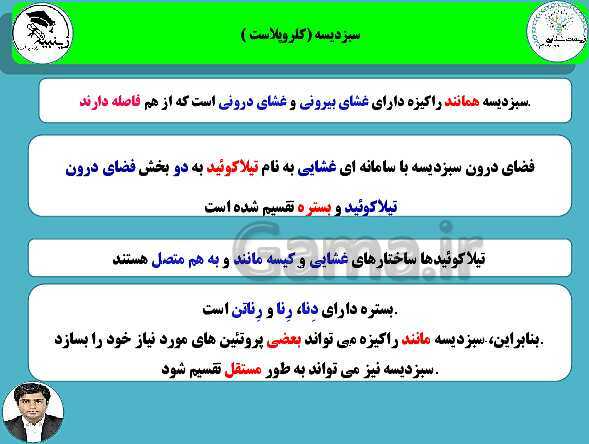 پاورپوینت آموزشی زیست شناسی (3) دوازدهم تجربی | فصل 6: از انرژی به ماده- پیش نمایش