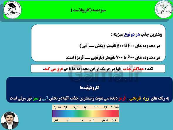 پاورپوینت آموزشی زیست شناسی (3) دوازدهم تجربی | فصل 6: از انرژی به ماده- پیش نمایش