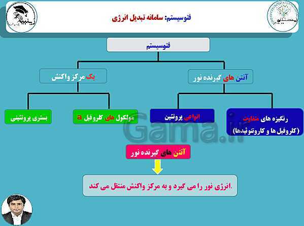 پاورپوینت آموزشی زیست شناسی (3) دوازدهم تجربی | فصل 6: از انرژی به ماده- پیش نمایش