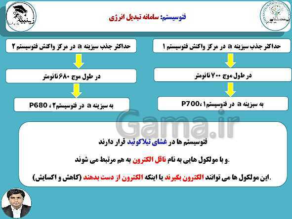 پاورپوینت آموزشی زیست شناسی (3) دوازدهم تجربی | فصل 6: از انرژی به ماده- پیش نمایش