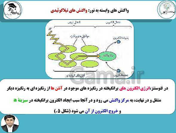 پاورپوینت آموزشی زیست شناسی (3) دوازدهم تجربی | فصل 6: از انرژی به ماده- پیش نمایش